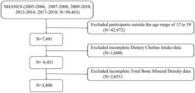 Sex differences in the association between dietary choline intake and total bone mineral density among adolescents aged 12–19 in the United States